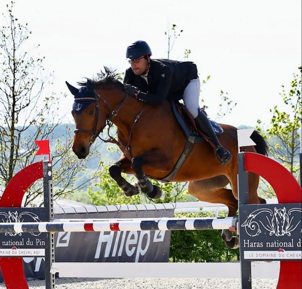 Un cavalier et son cheval sautent un obstacle lors d'une compétition de saut d'obstacles, avec des arbres et un ciel clair en arrière-plan.