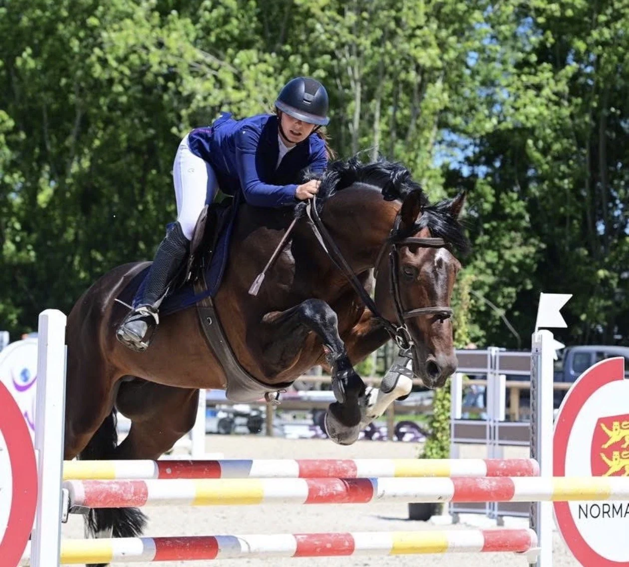 Cavalière et cheval sautant une barrière lors d'une compétition équestre en plein air.