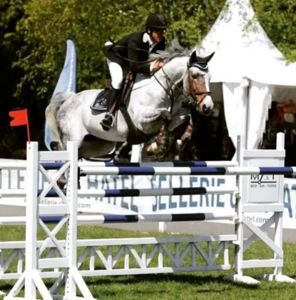 Un cavalier en tenue noire et blanche chevauche un cheval gris en sautant une barrière lors d'une compétition équestre en plein air avec un chapiteau blanc en arrière-plan.
