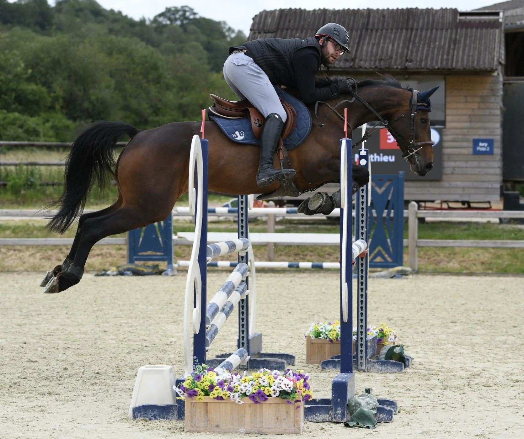 Un cavalier en équipement de saut d'obstacles, portant un casque noir, saute un obstacle avec son cheval marron lors d'une compétition en plein air avec un décor verdoyant et un bâtiment en bois en arrière-plan.