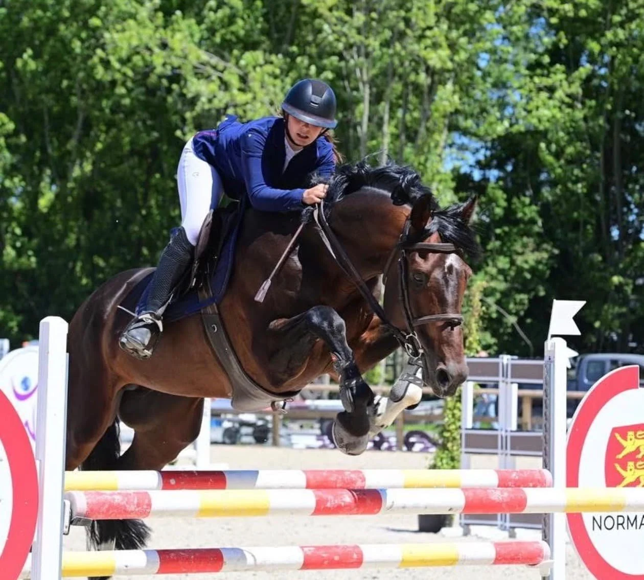 Une cavalière en compétition de saut d'obstacles, portant un casque noir, un uniforme bleu et blanc, qui saute un obstacle avec un cheval marron.
