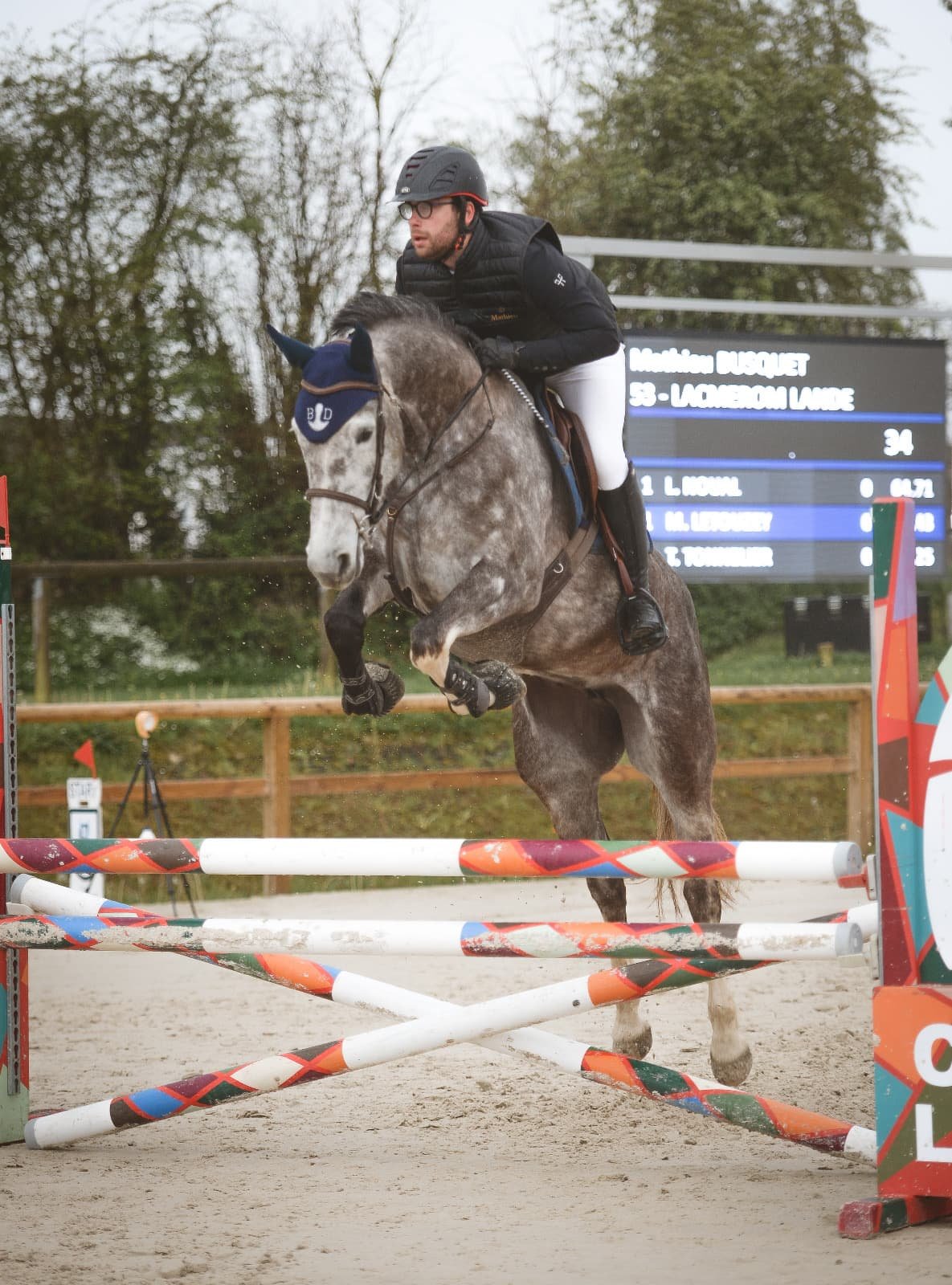 Un cavalier en noir et blanc saute un obstacle en concours équestre sur un cheval gris avec un bonnet bleu, avec un tableau de scores en arrière-plan.