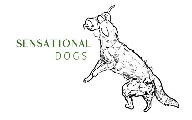 Sensational Dogs