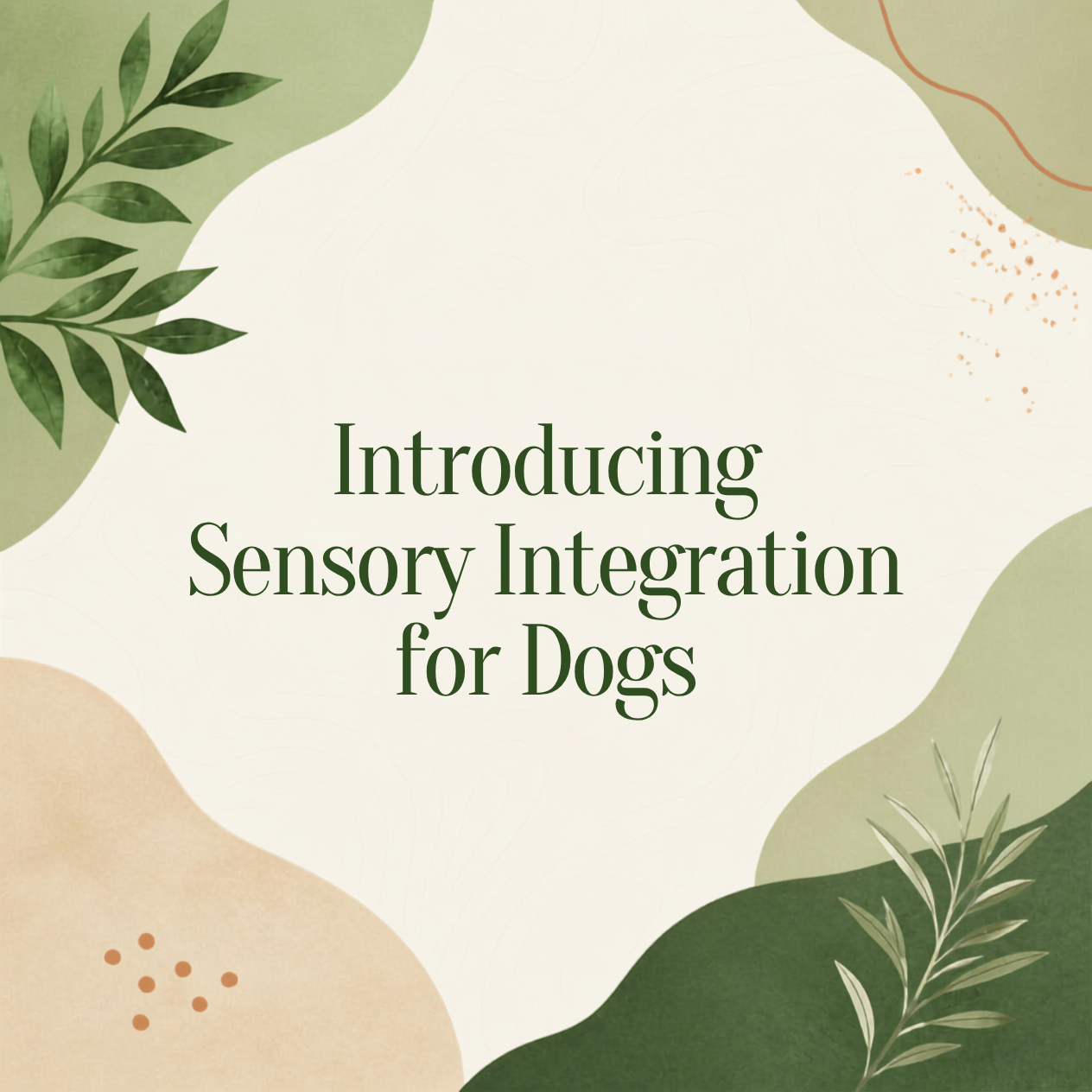 Introducing Sensory Integration for Dogs