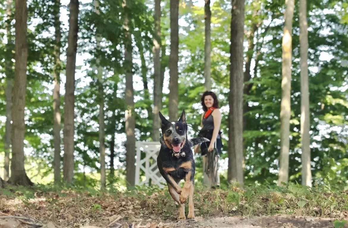 A woman and a dog running through a wooded area, with the woman smiling in the background.