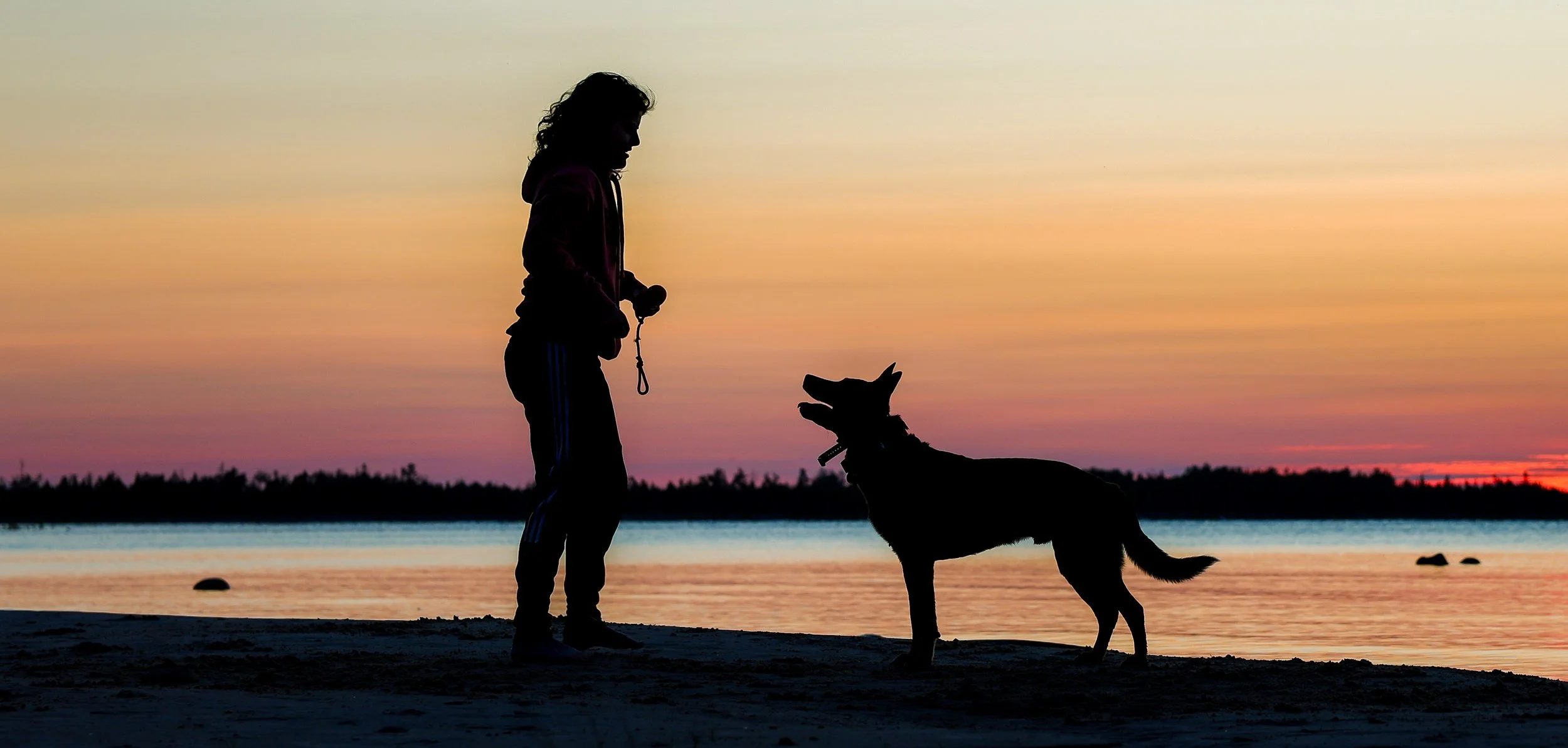 Silhouette of a person with a dog on a leash standing on the beach during sunset