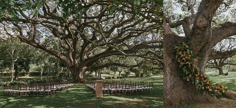 Moanalua-gardens-wedding-photography_0016.jpg