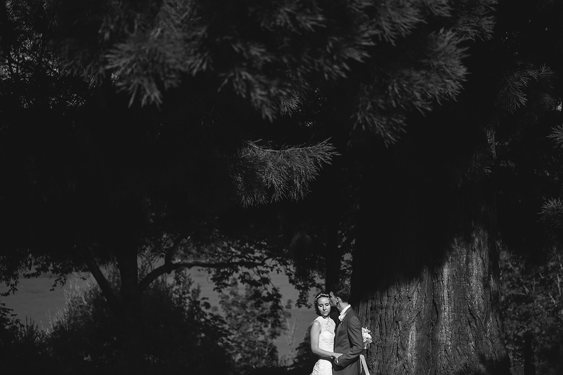bain-bridge-island-wedding.jpg