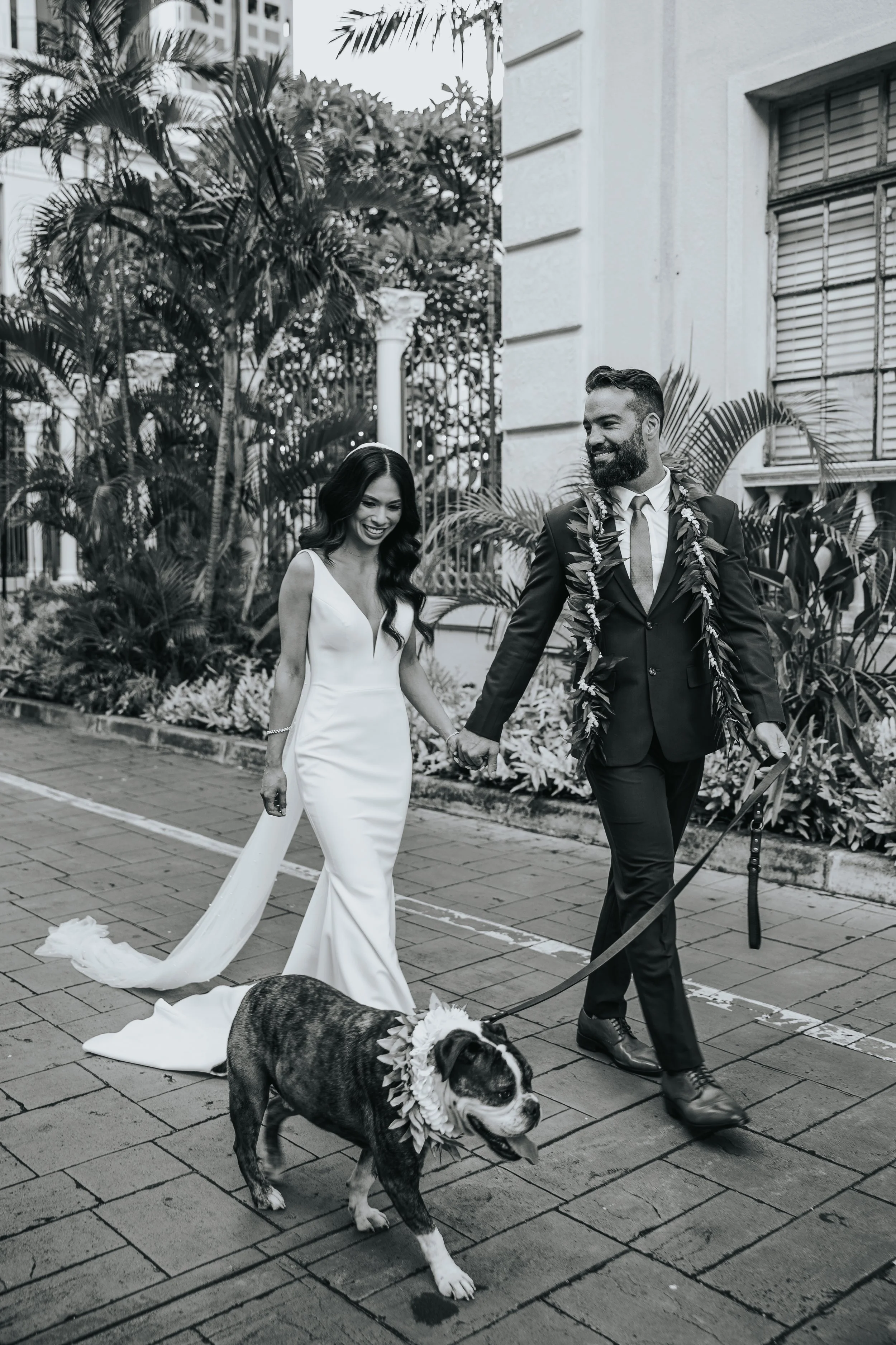 A smiling bride and groom walking outdoors holding hands, accompanied by two bulldogs wearing flower lei collars, with large plants and buildings in the background.
