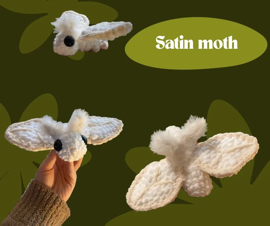 Copy of Copy of Copy of Luna moth.png
