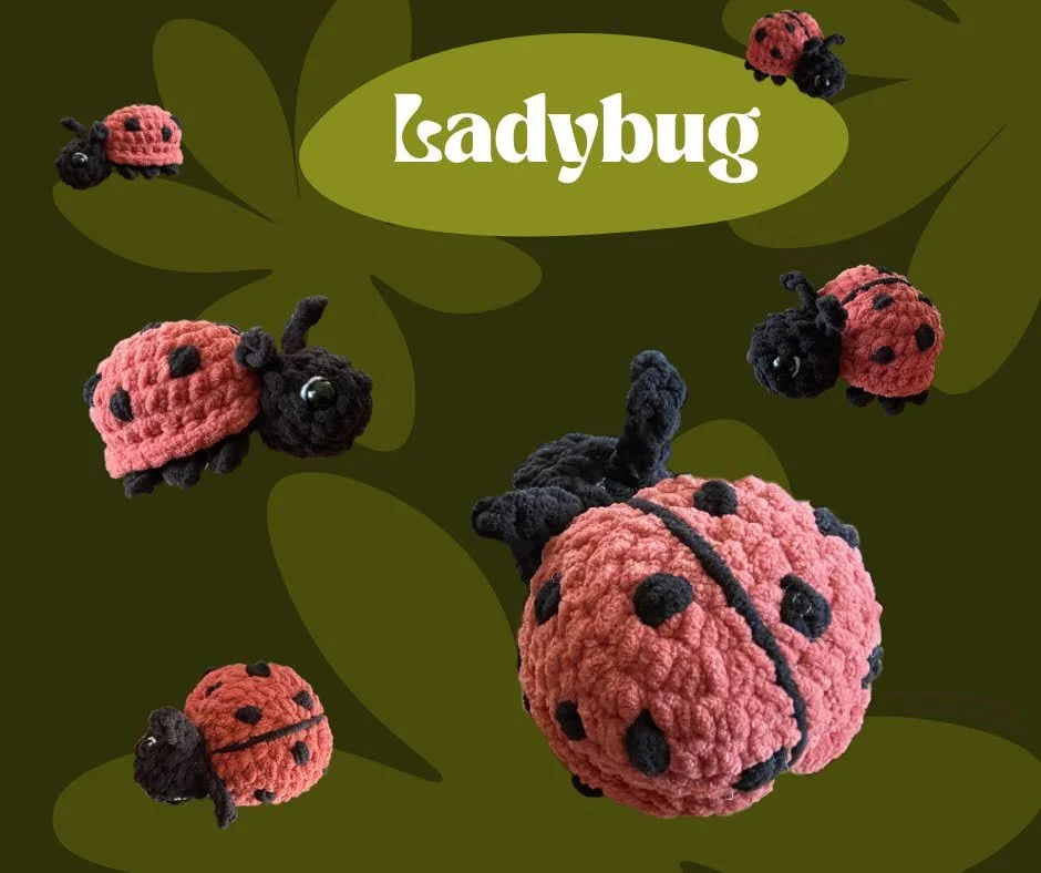 ladybug.jpg