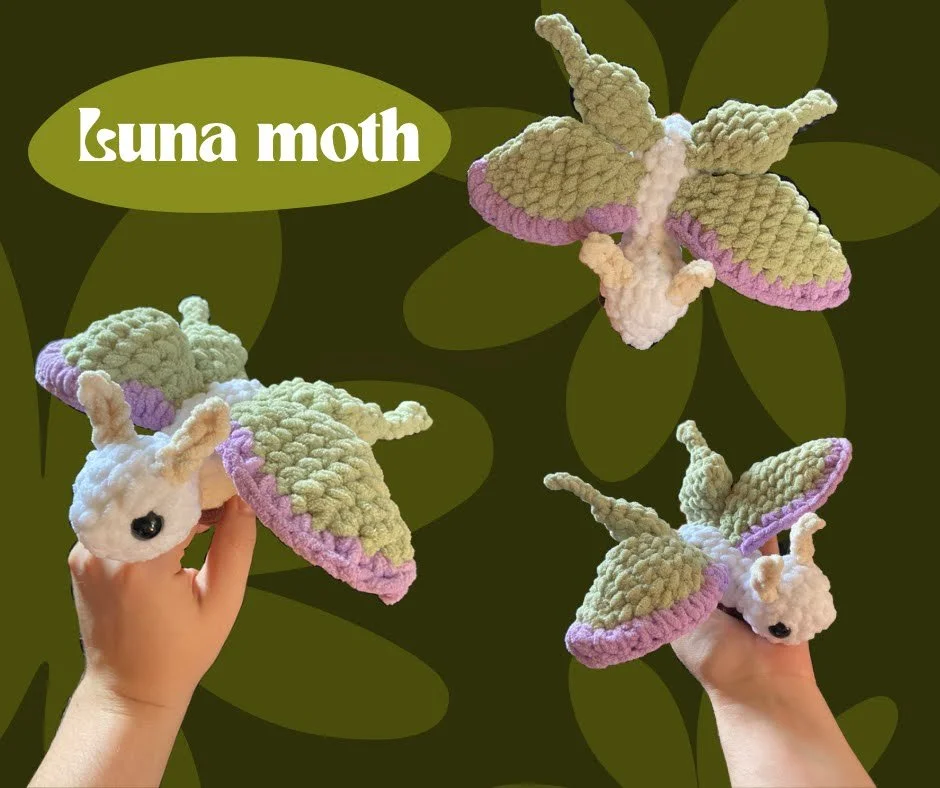 Luna moth.png
