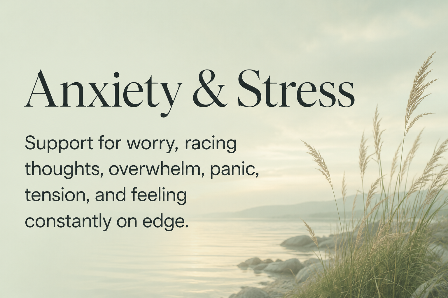Text overlay on landscape background reading 'Anxiety & Stress Support for worry, racing thoughts, overwhelm, panic, tension, and feeling constantly on edge.'