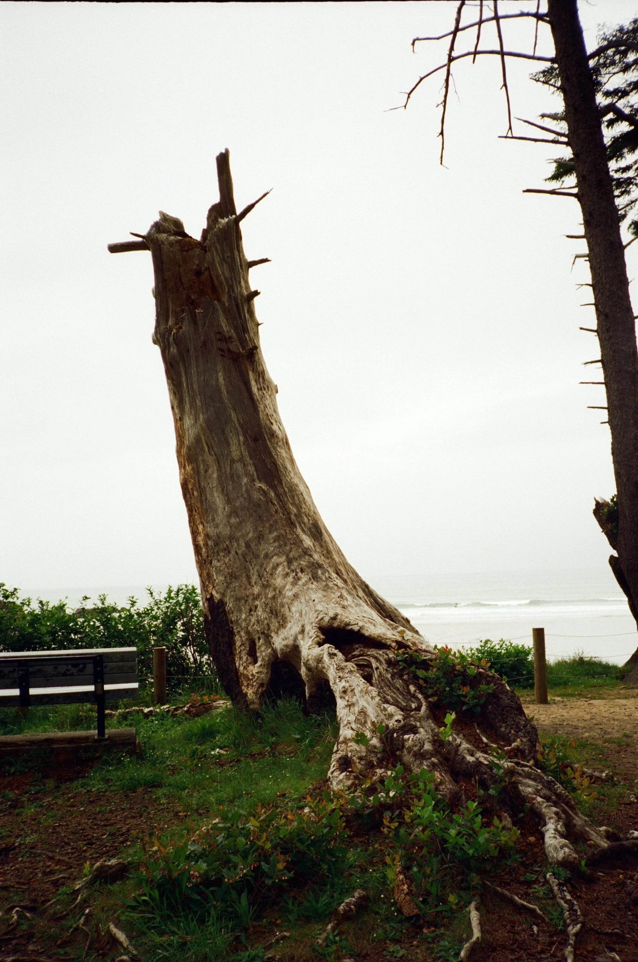 candido 400_film_photography83.JPG