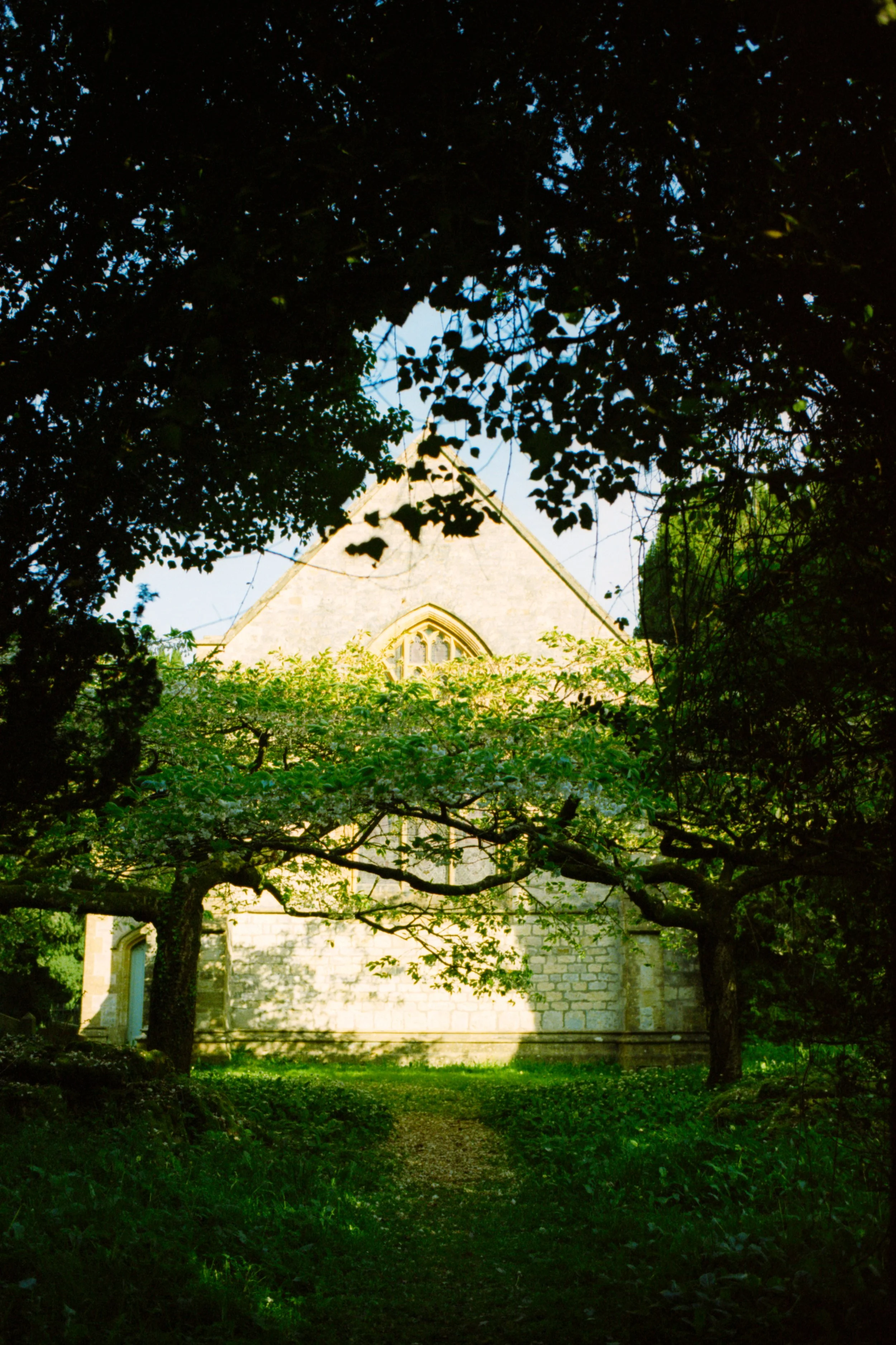 candido-200-film.jpg