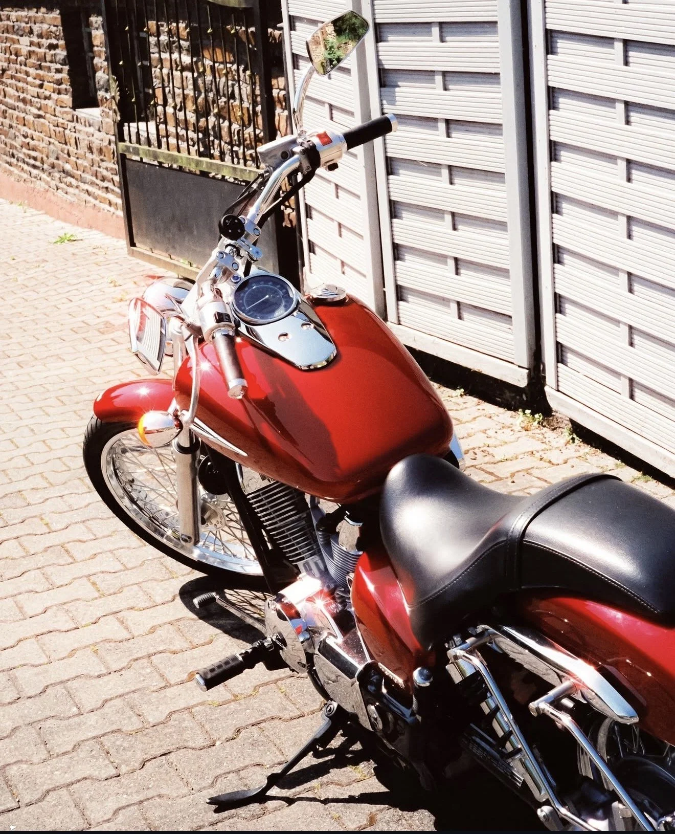 candido_film_photography3.jpg