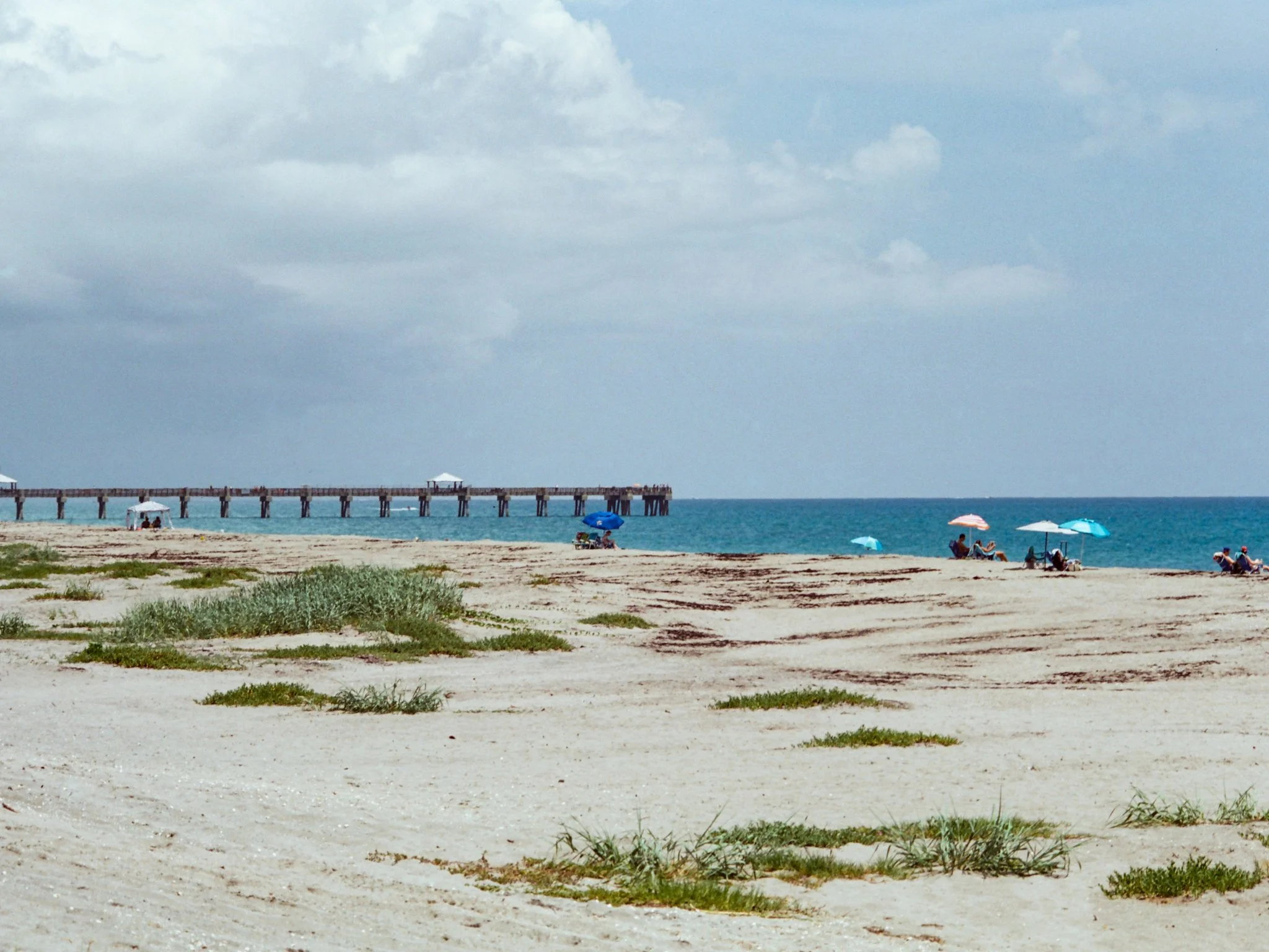 candido 50_film_photography41.jpg