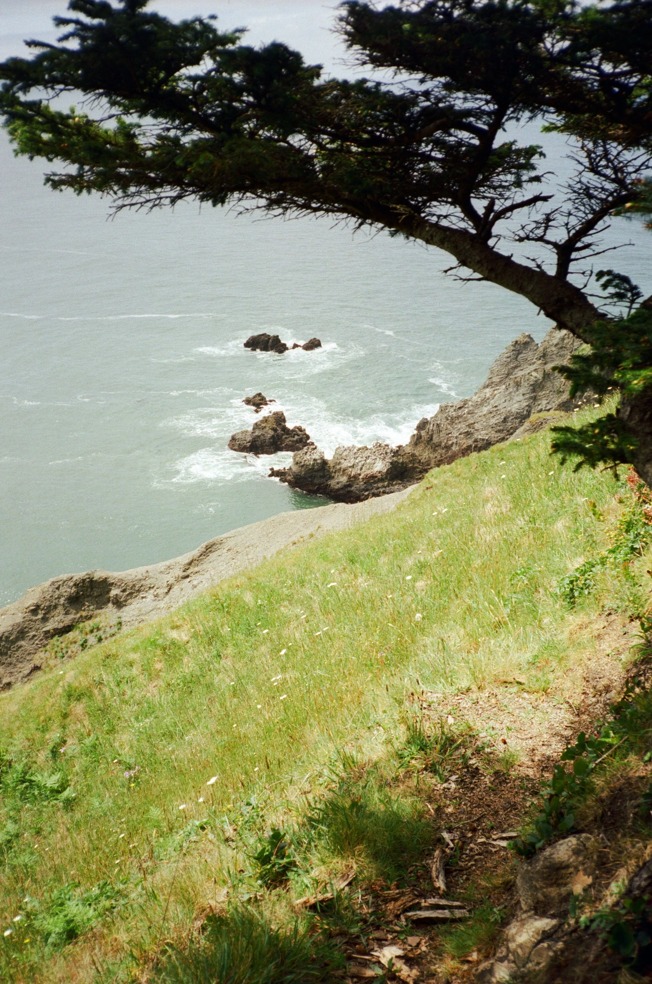 Candido 400_film21.JPG