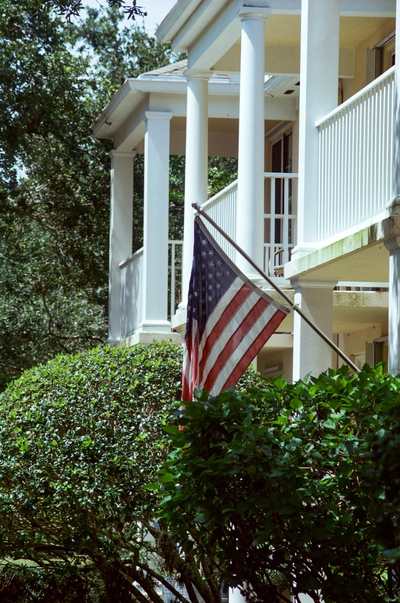 candido 50_film_photography43.jpg