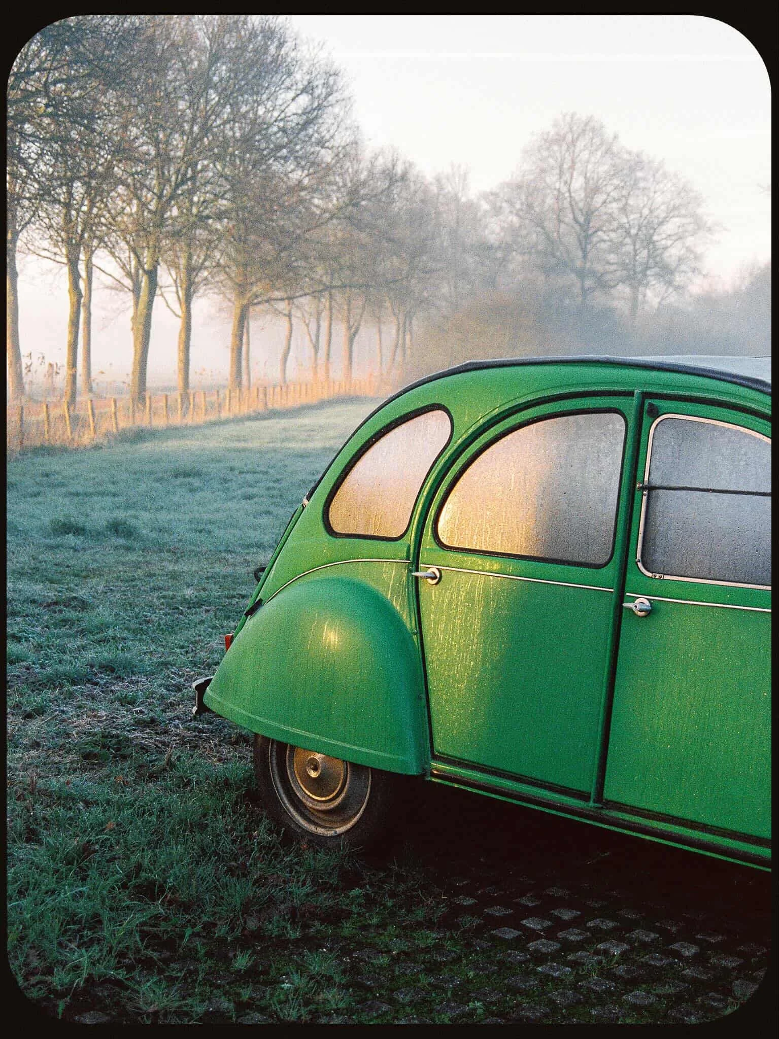 Candido 800_film_colour3.jpeg