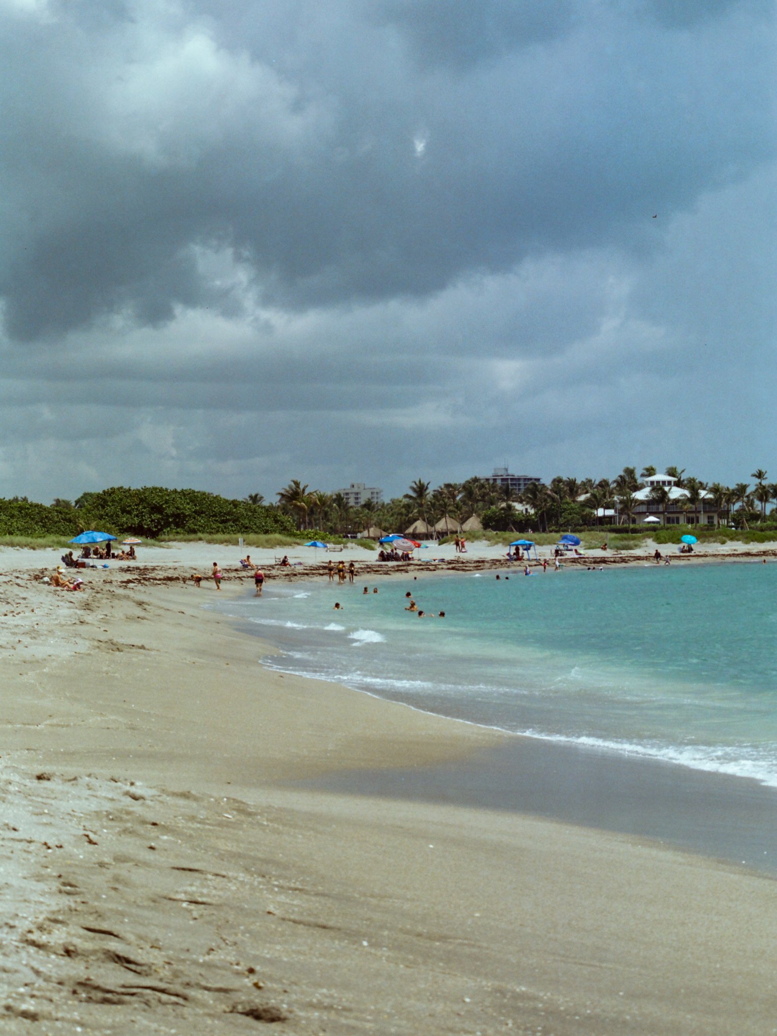 candido 50_film_photography36.jpg