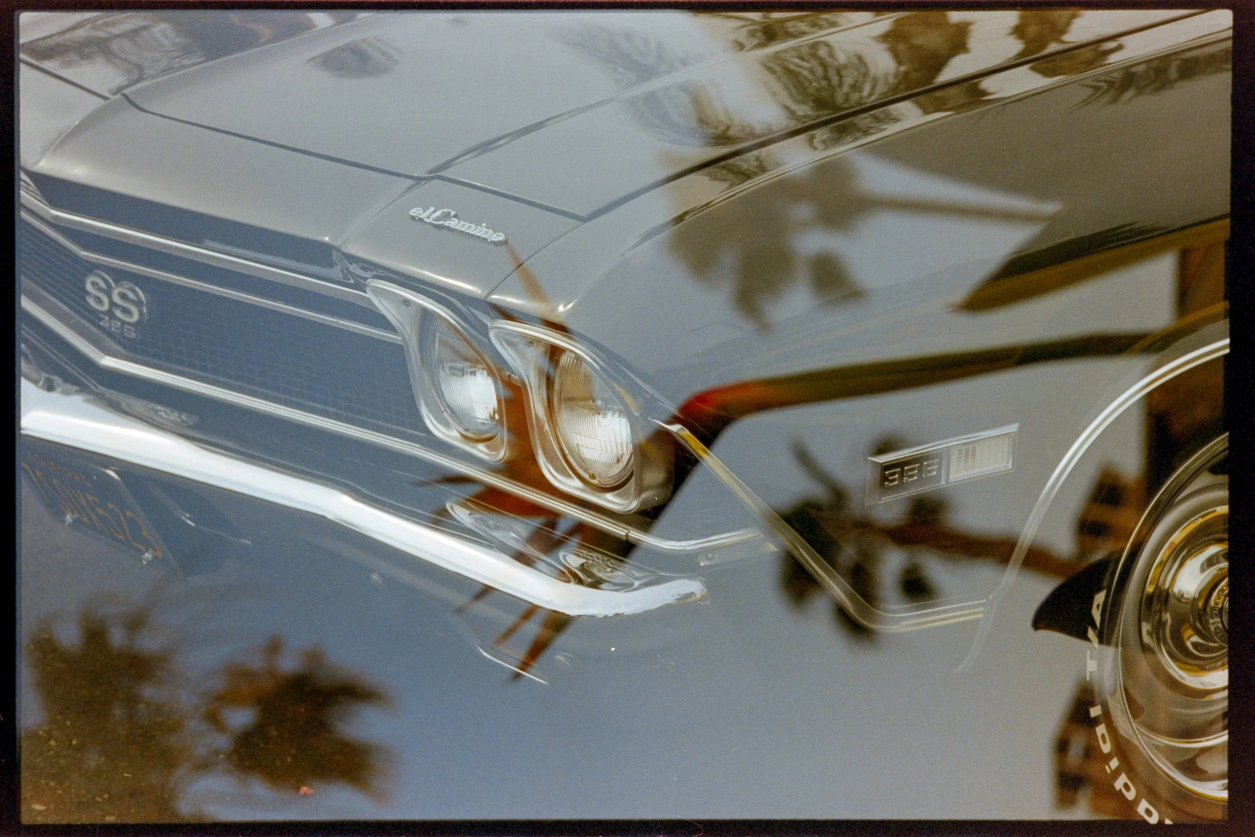 candido 400_film_photography3.jpg