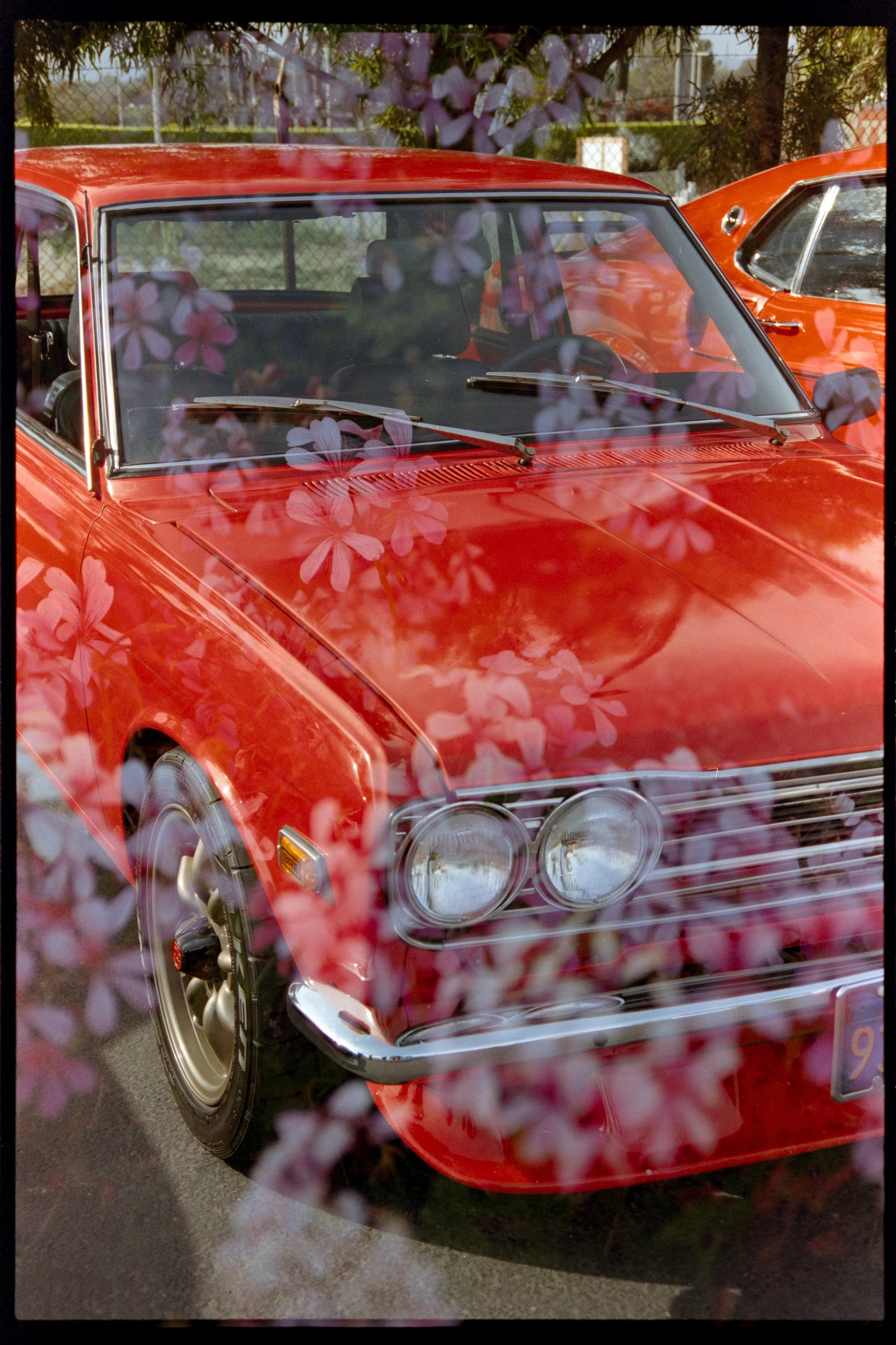candido 400_film_photography87.JPG