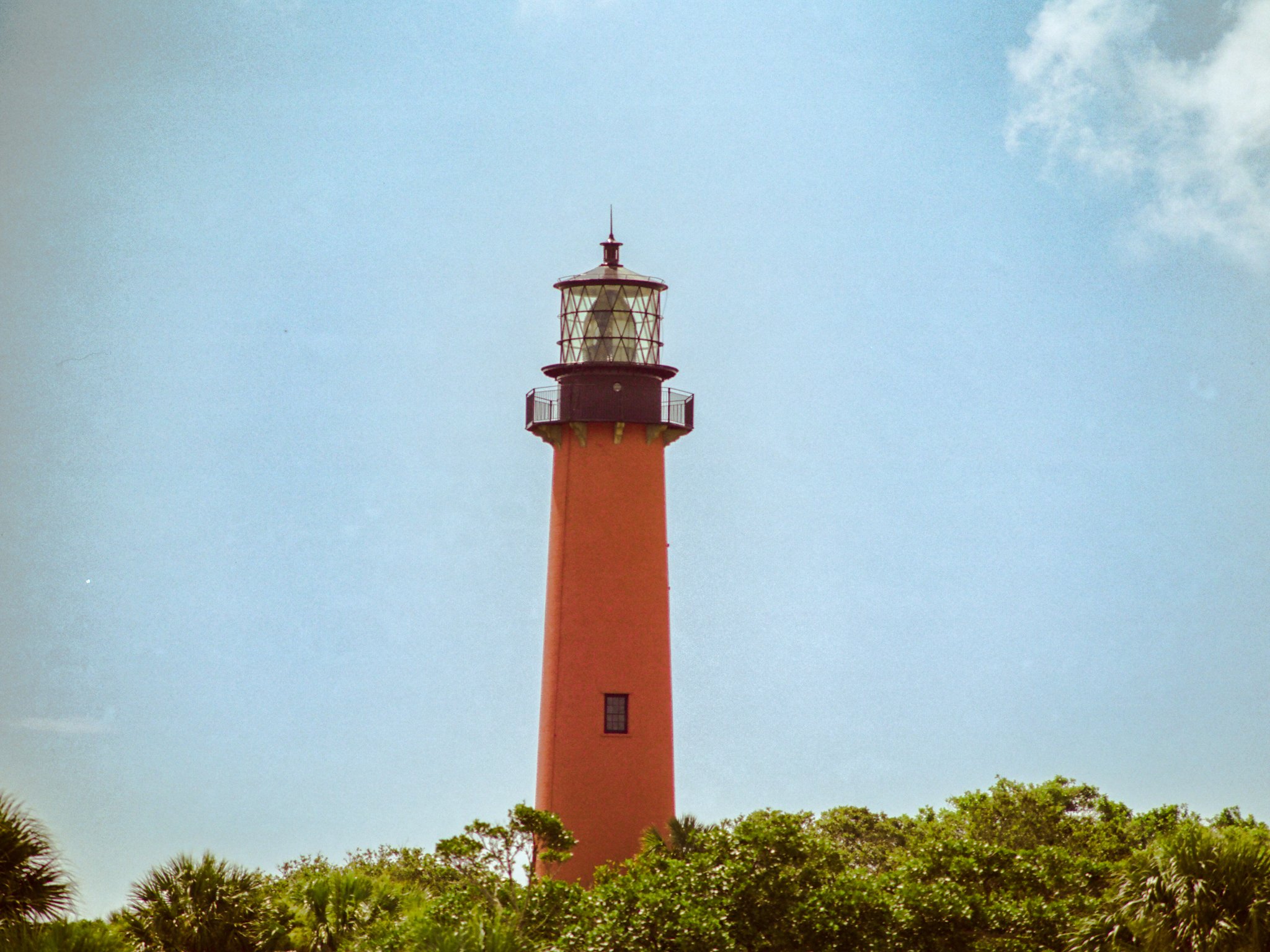 candido 50_film_photography27.jpg