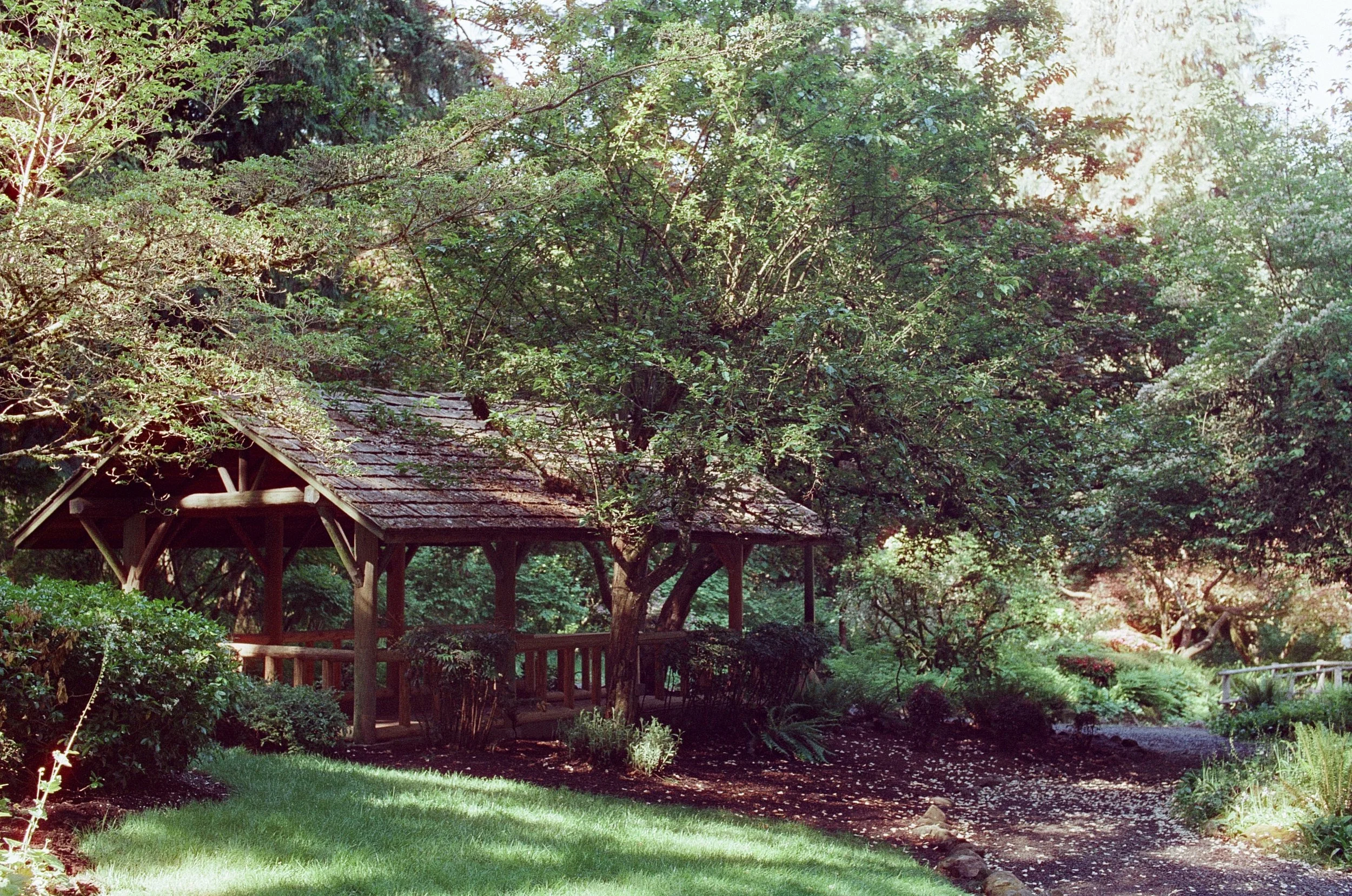 candido 400_film_photography14.jpg