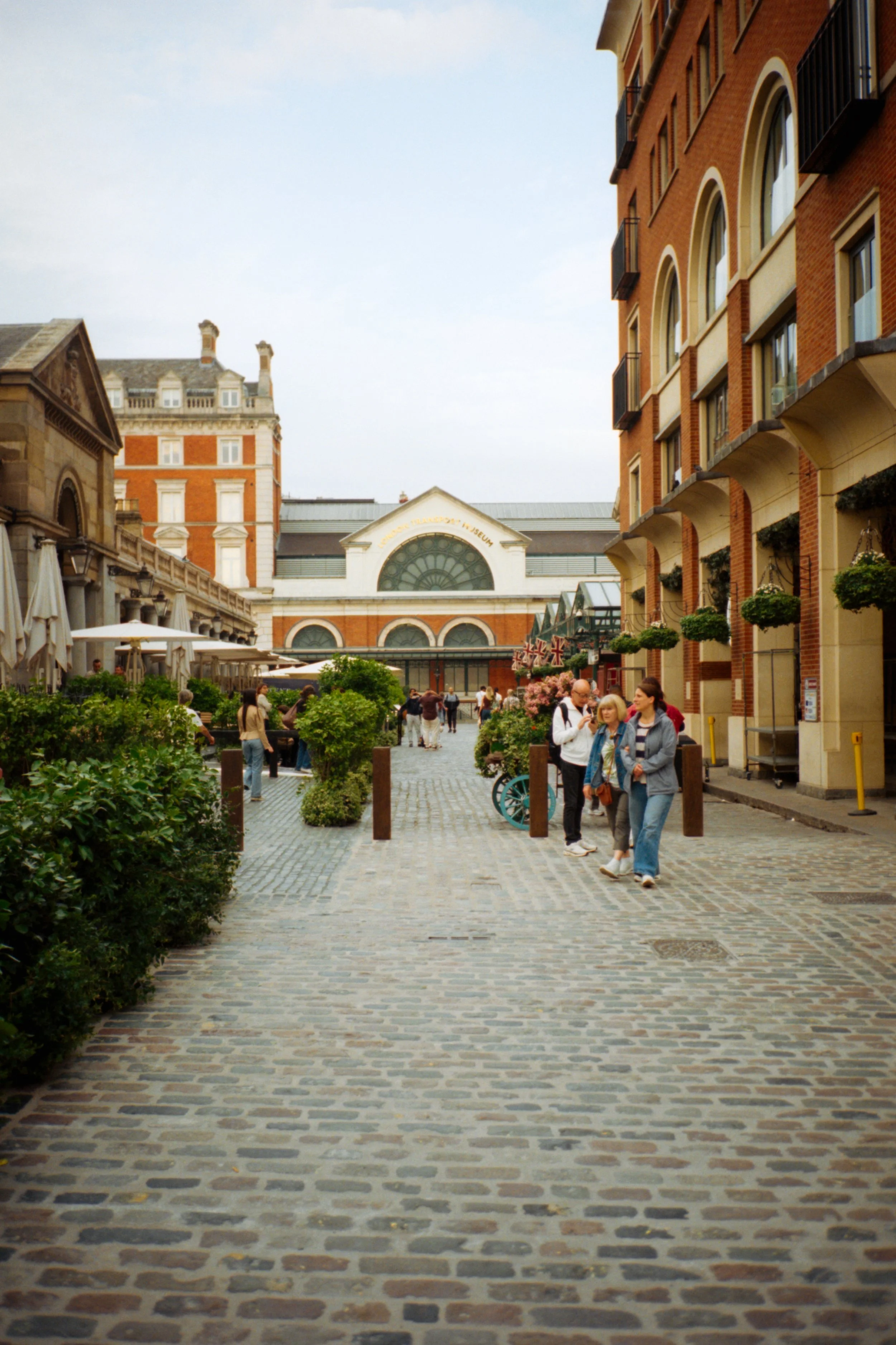 candido 400_film_photography44.jpg