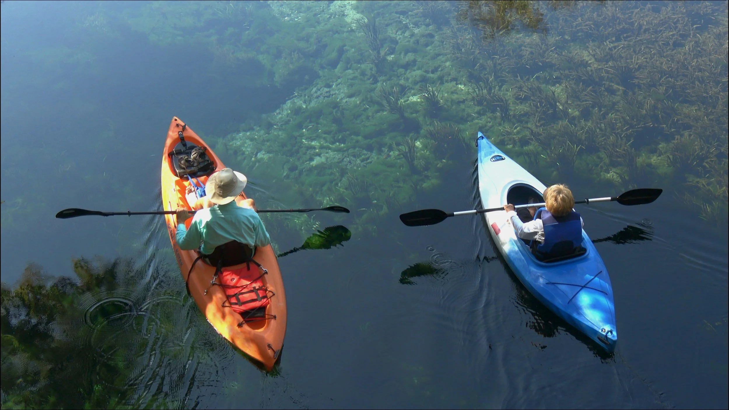 Two people kayaking on calm water over clear underwater vegetation.