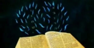   Shabbat Morning Services   The Shul For You.   Join us for a spiritually enriching Shabbat experience!     Shabbat Services followed by a lavish Kiddush. 10 AM at Chabad!     Upcoming Service   