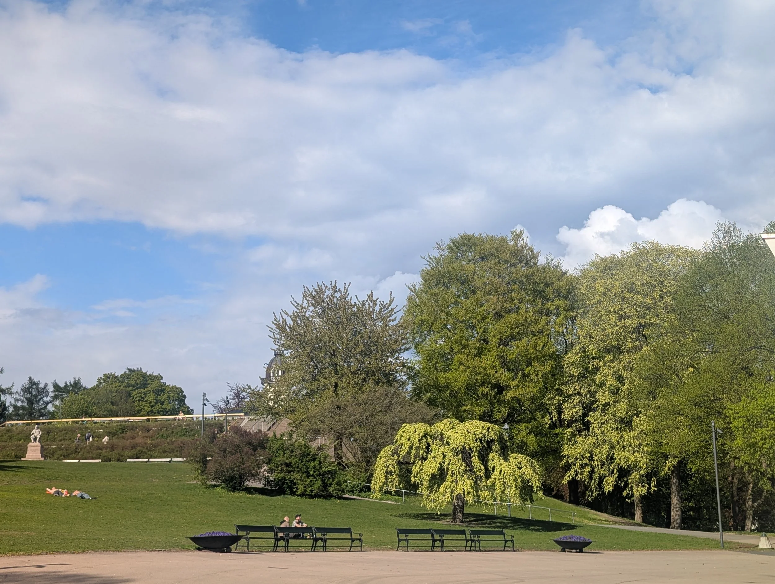 En park med trær og benker under en blå himmel med spredte skyer.