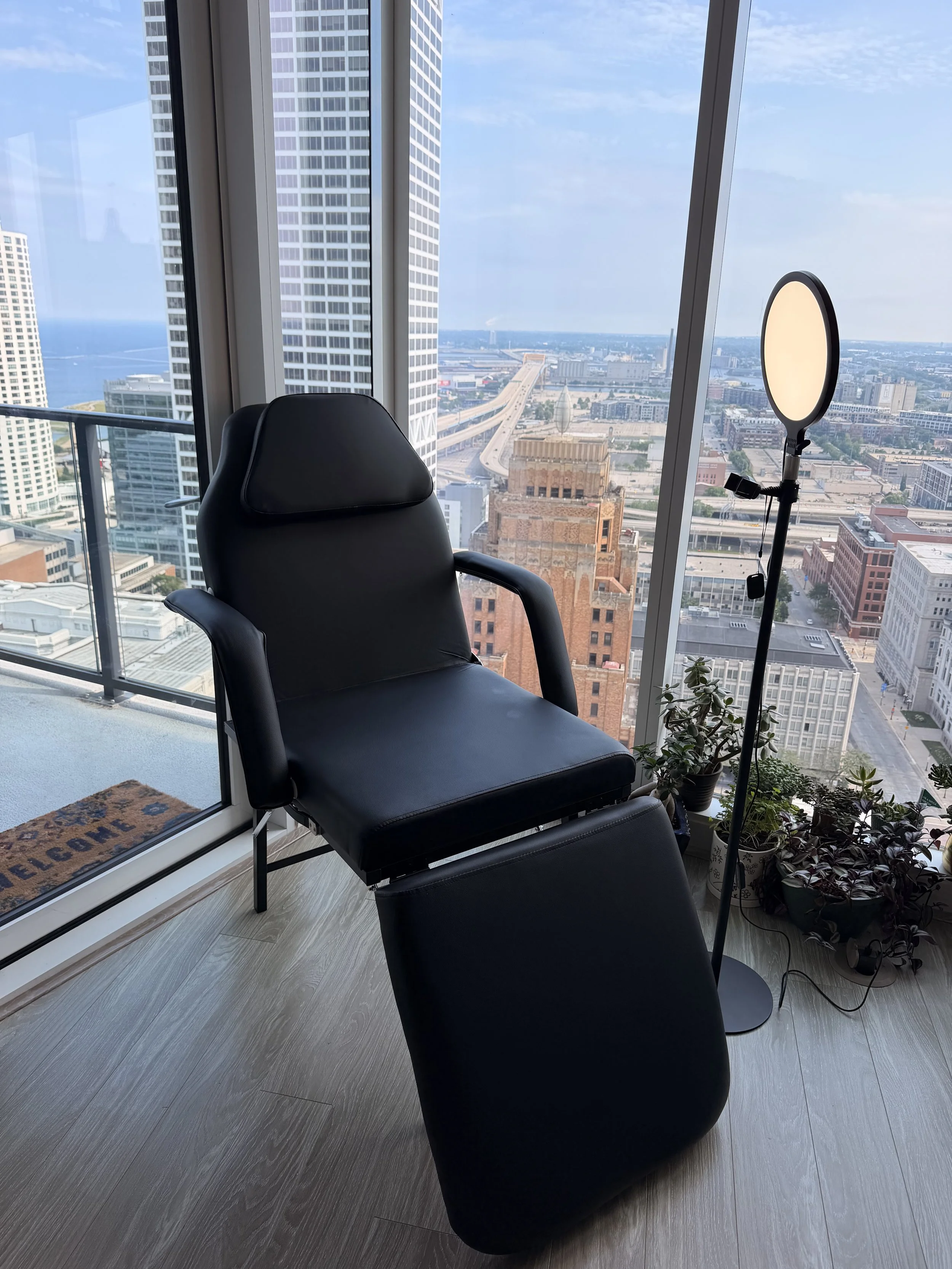 A black reclining chair near a large window with a city skyline view, including tall buildings and a body of water, alongside a floor lamp and potted plants.