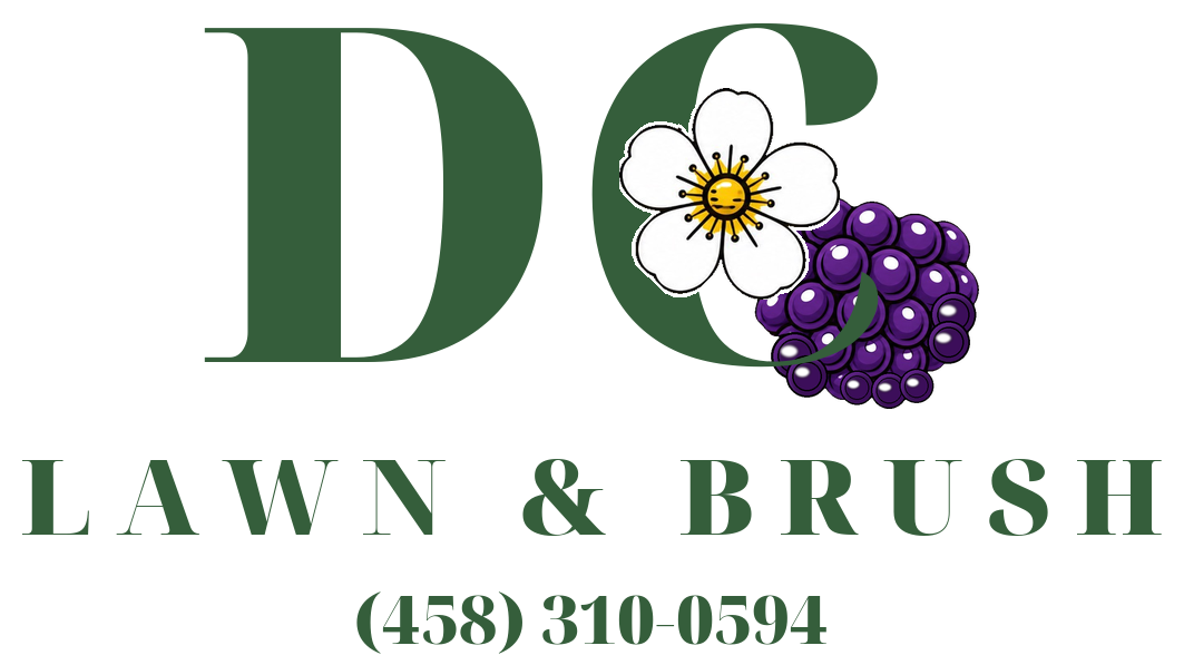 DC Lawn &amp; Brush