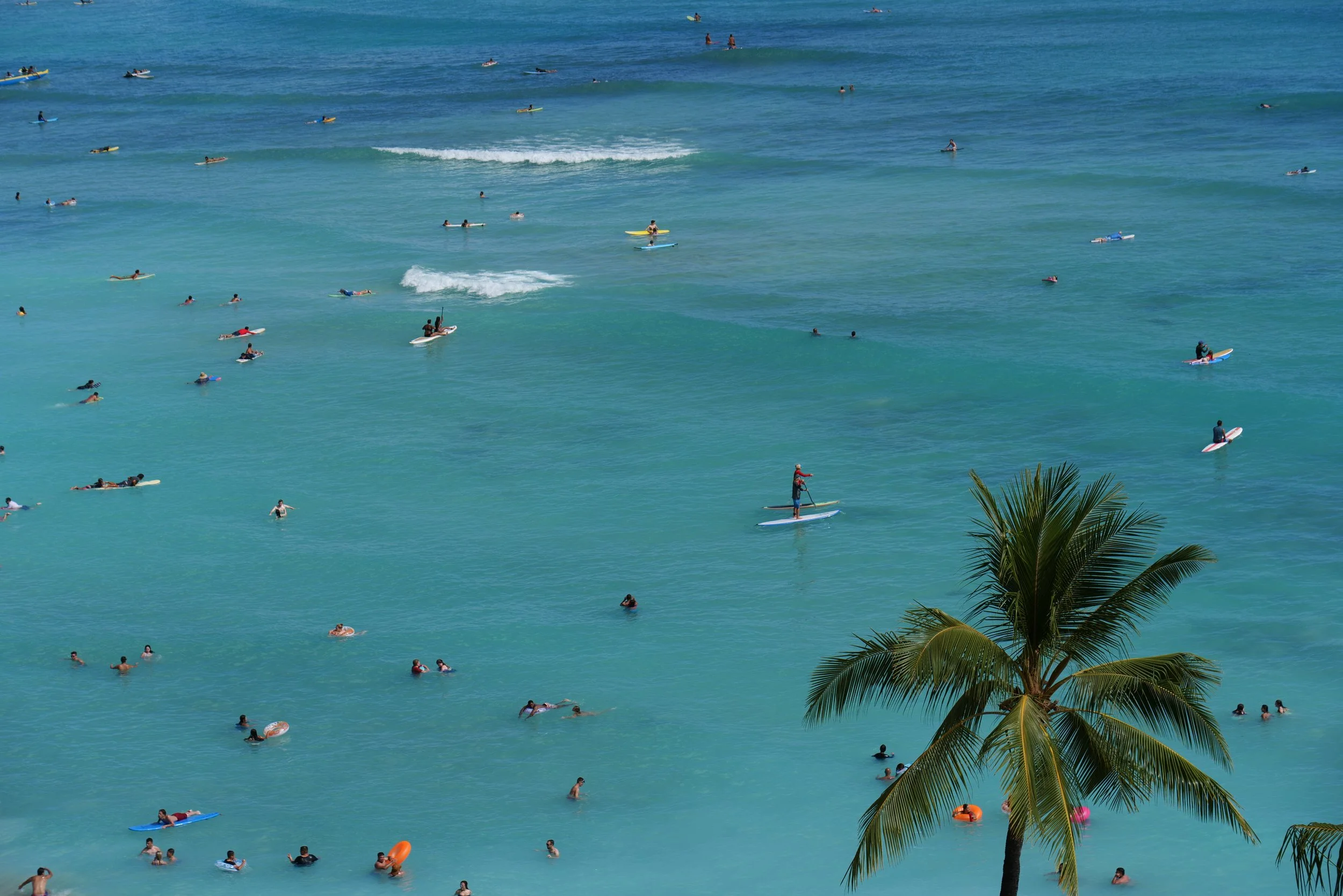 Waikiki paddle boarding
