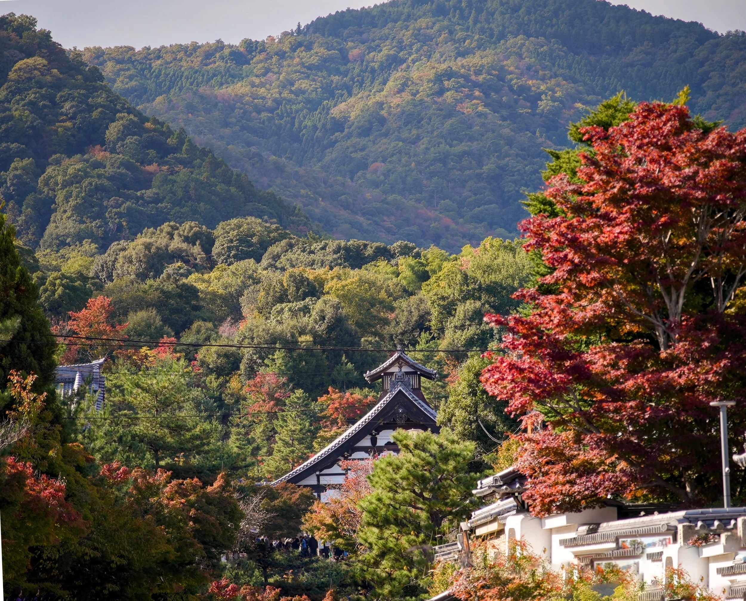 Fall colors Kyoto Japan