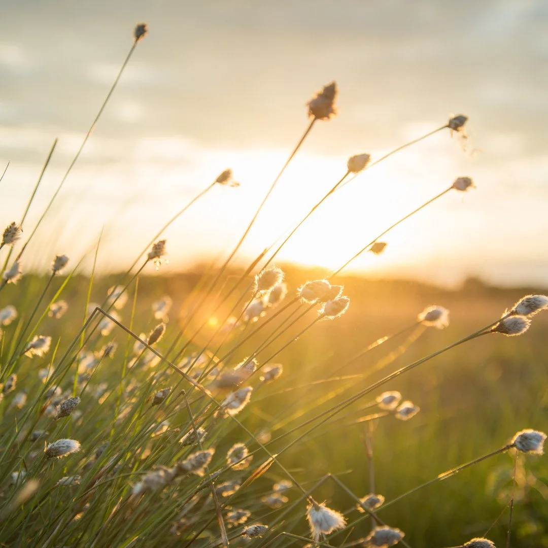 Monatsinspiration Juli - Macht die Sonne uns wirklich glücklicher?