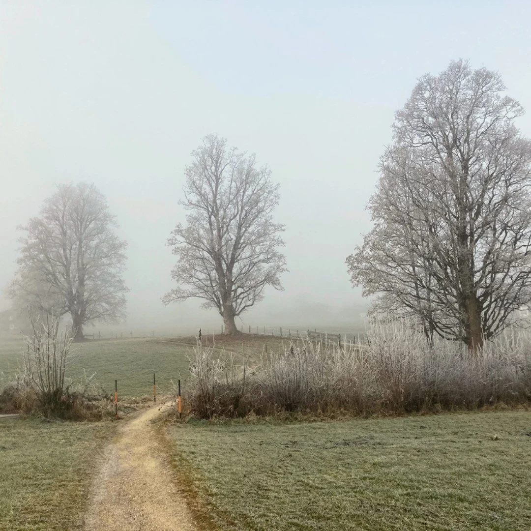 Monatsinspiration November - Loslassen und Malasana