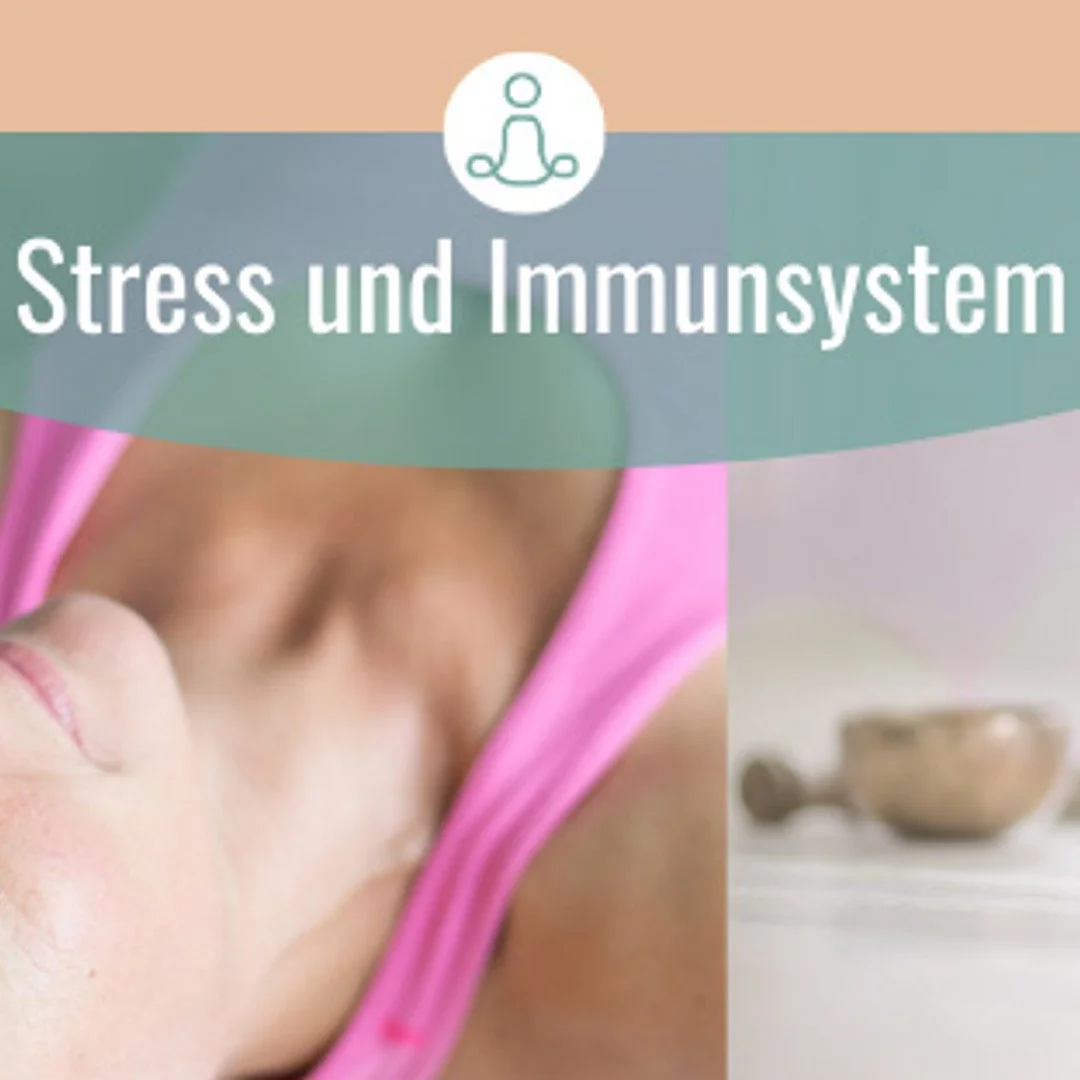 Deine Superpower: Das Immunsystem. Und was Stress damit