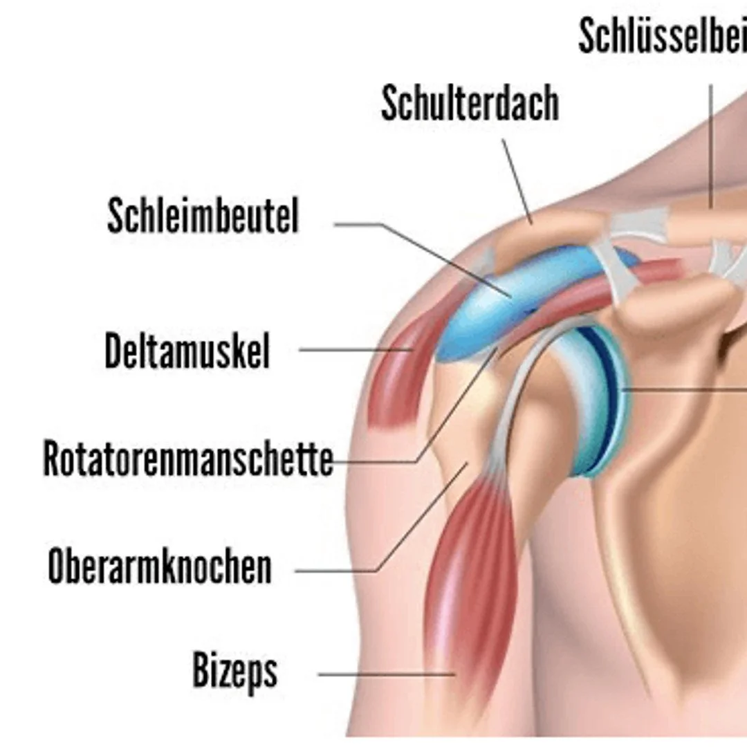 Monatsinspiration August: Happy Shoulder - Happy Heart Yoga für eine gelöste Schulter- Nackenregion