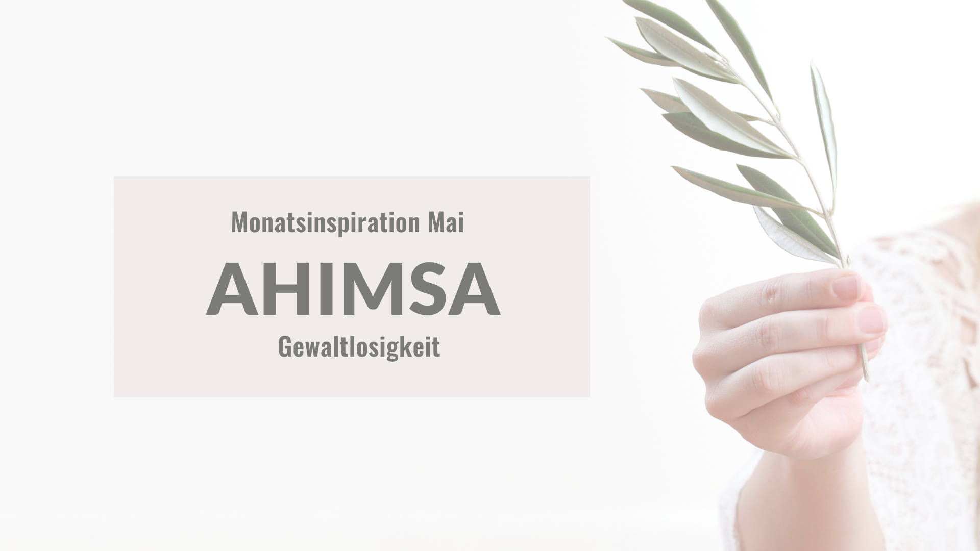 Hand hält einen Olivenzweig, dazu der Schriftzug Ahimsa – Gewaltlosigkeit