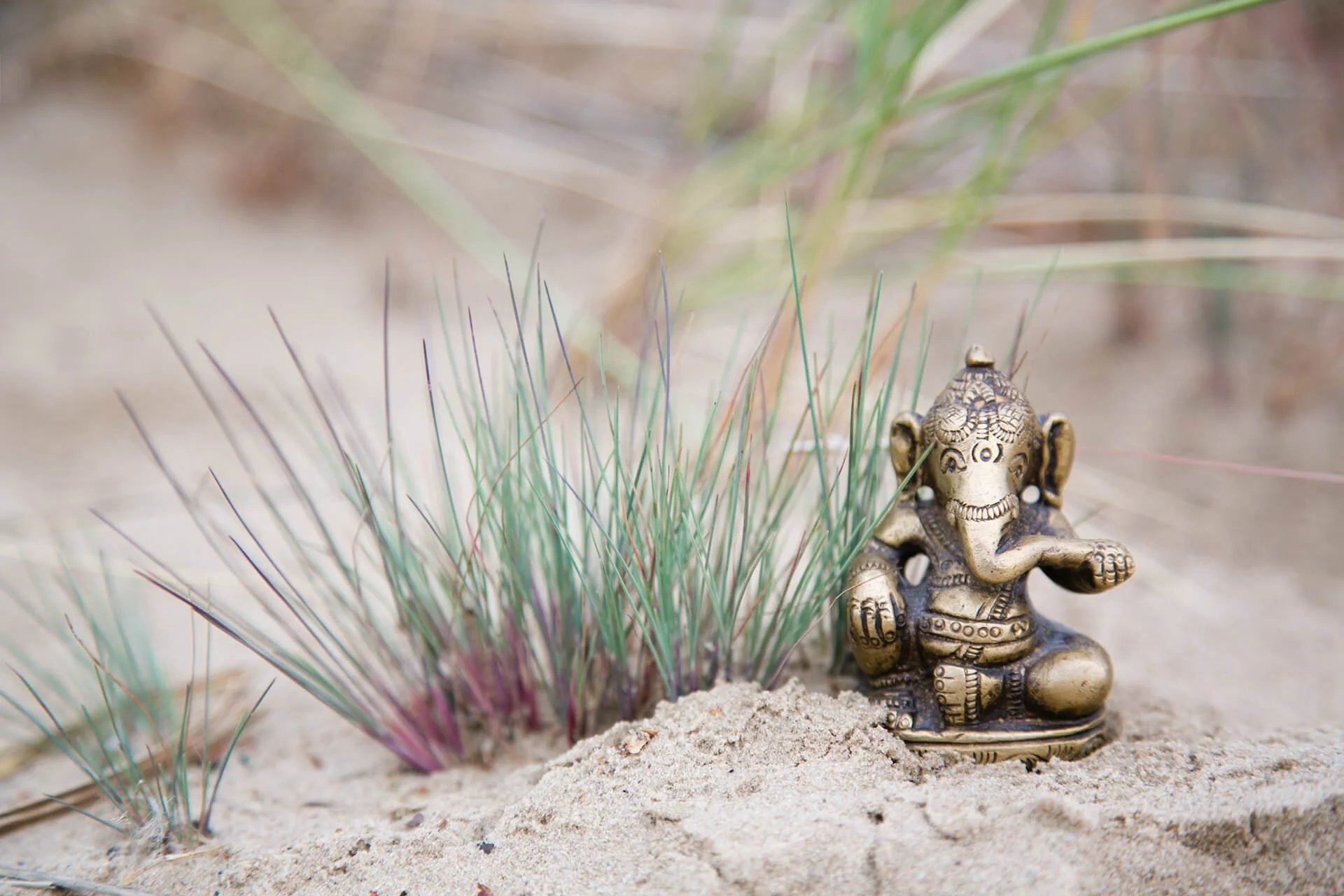 Kleine Ganesha-Figur im Dünensand zwischen Strandgras