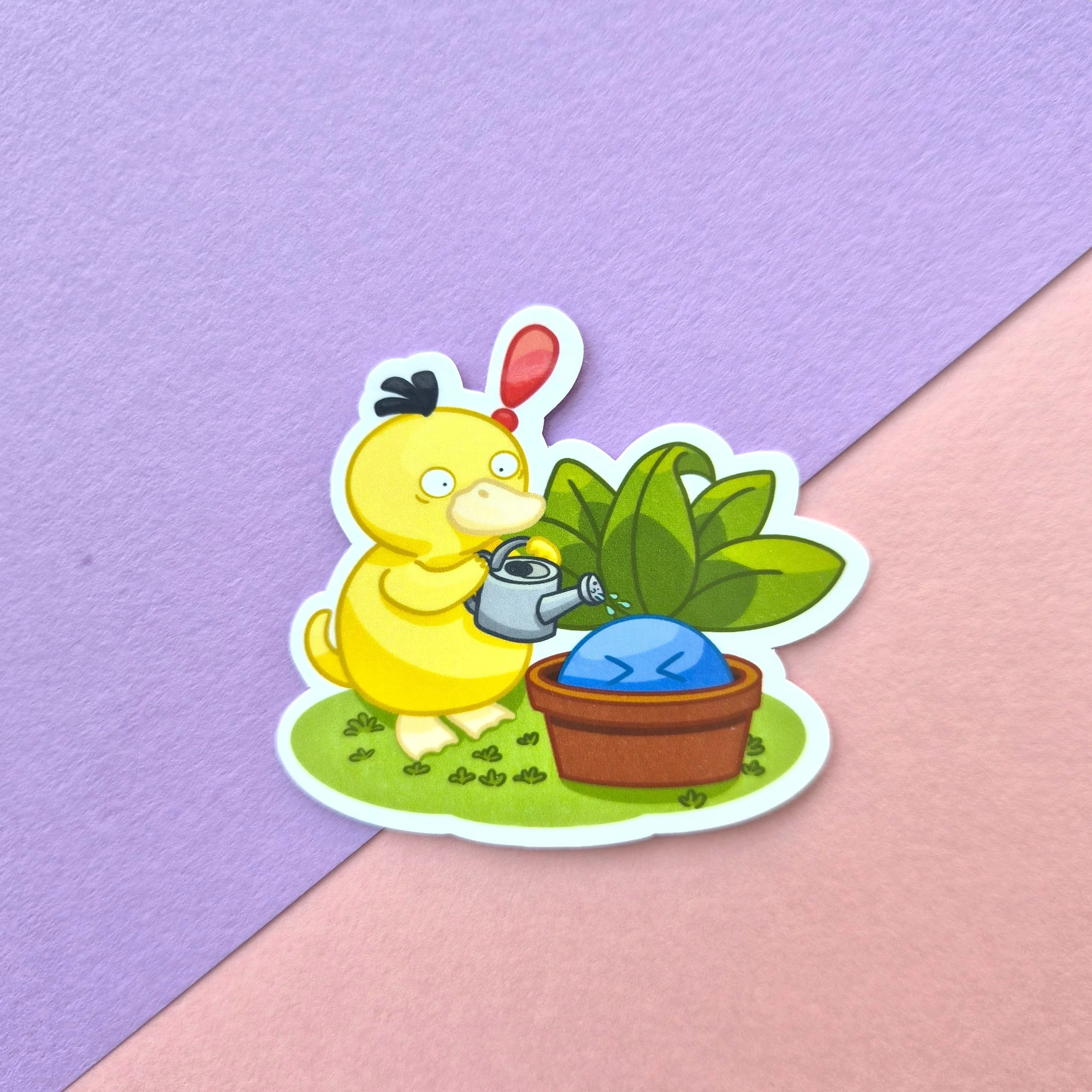 20260708_123910.jpg