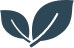 Two leaves, dark green in color, crossing each other against a white background.