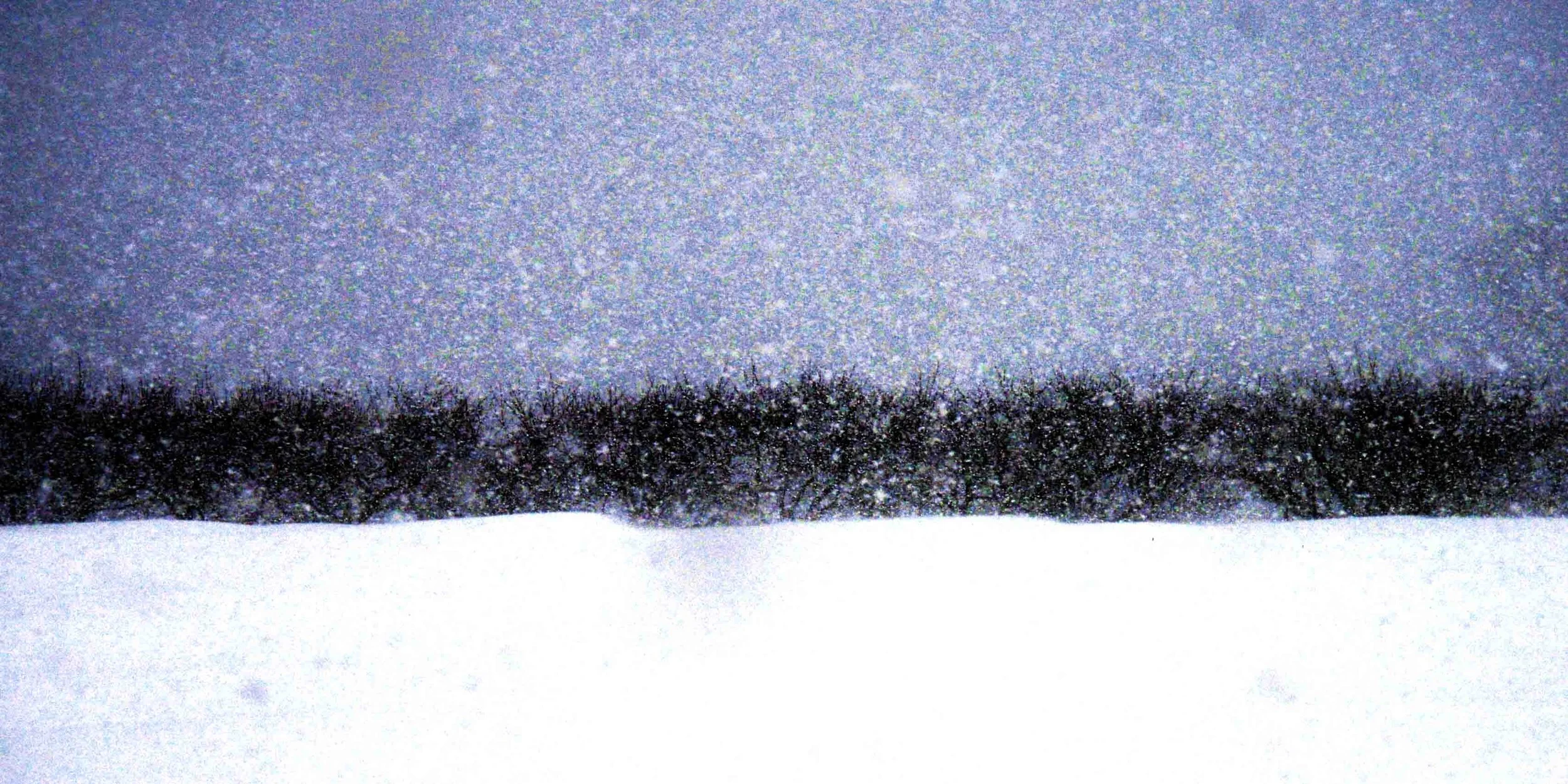 The Snowy Night