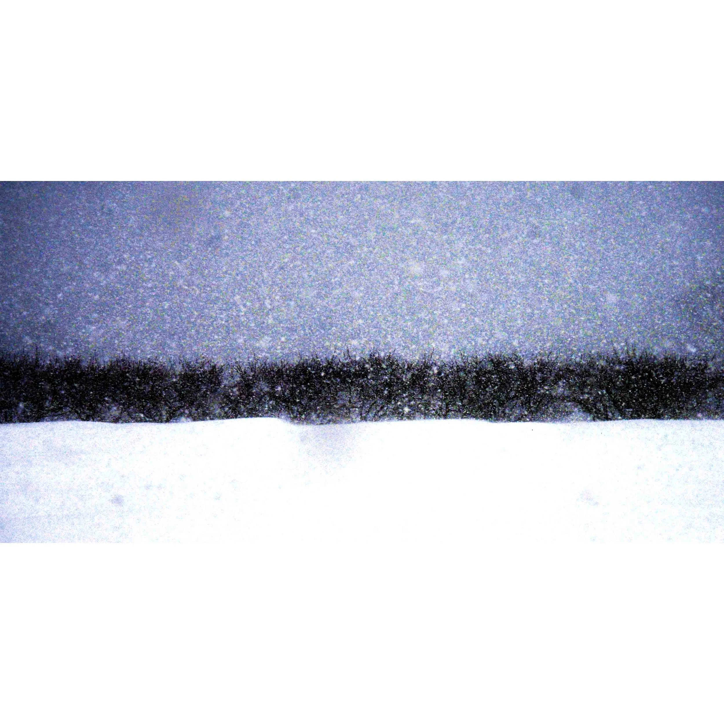 The Snowy Night
