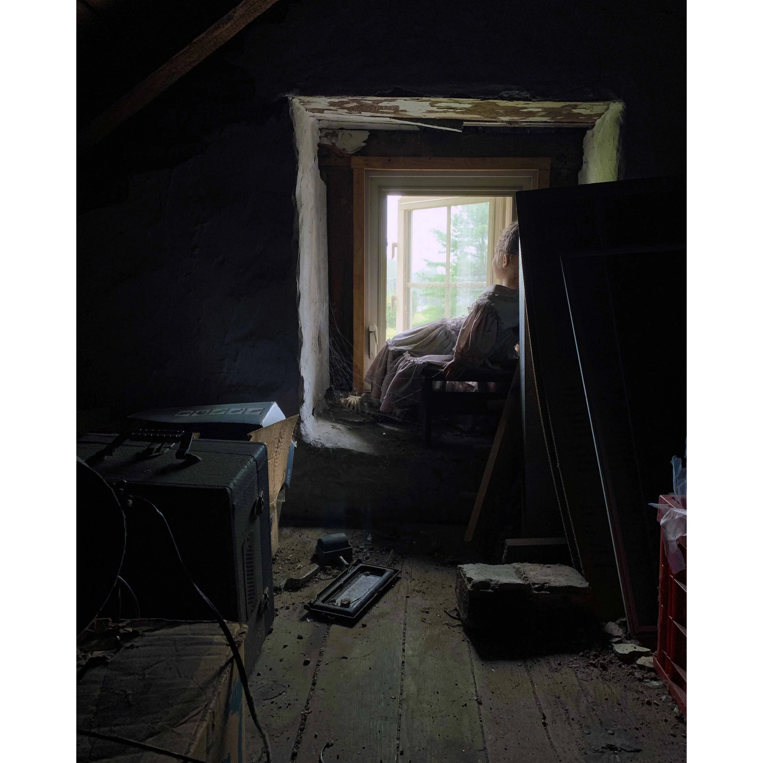 The Girl in the Attic