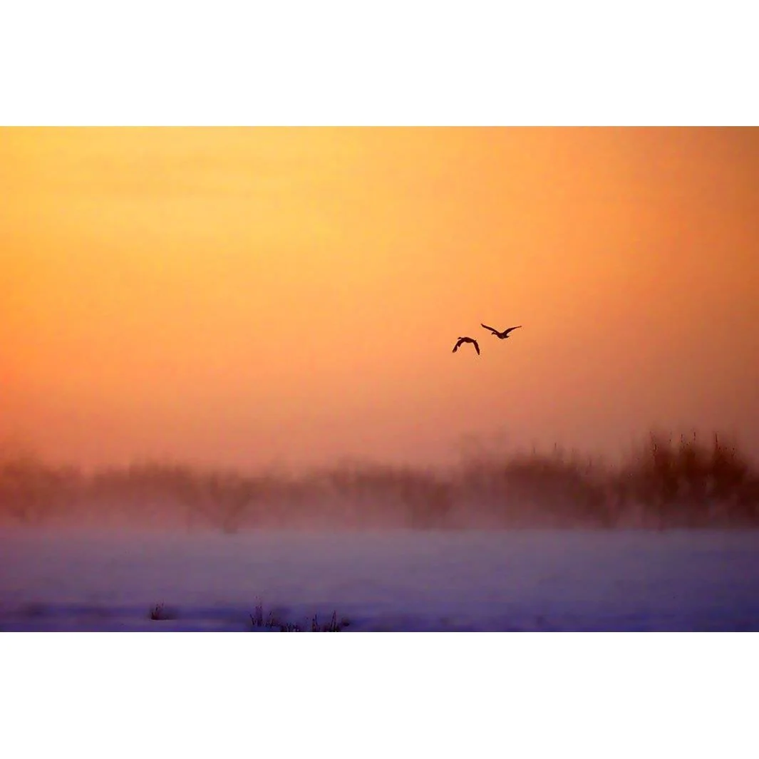 Christine's Morning