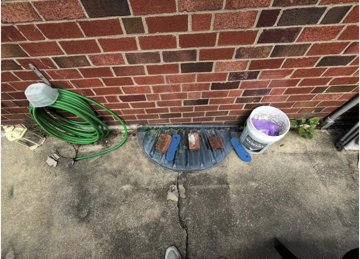 A gardening setup against a brick wall includes a coiled green garden hose with a spray nozzle, a small semi-circular greenhouse cover with three bricks on top, and a white bucket containing purple gardening material, on a concrete surface with some 